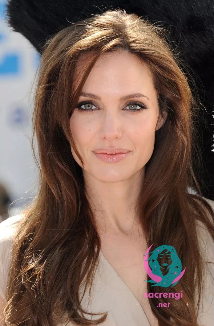 Angelina Jolie Oynadığı Diziler ve Filmler
