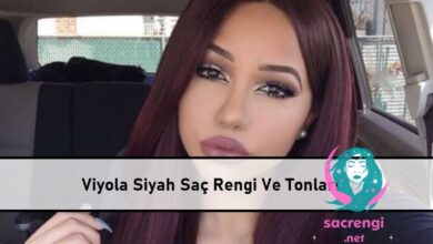 Viyola Siyah Saç Rengi Ve Tonları ana